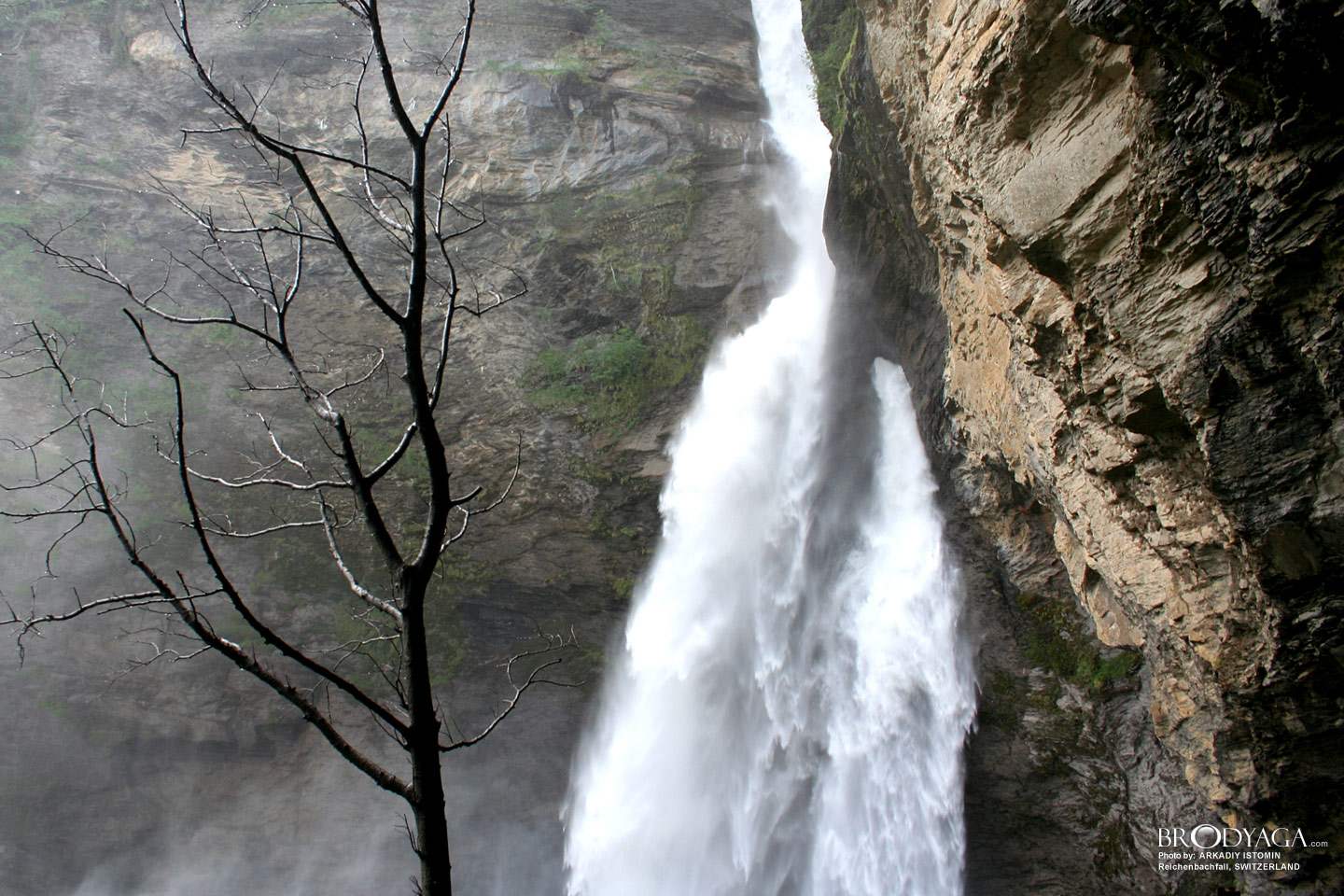 Reichenbachfall